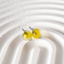 Farbvariante Zitrone transparent